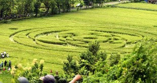 Penilitian UFO: Benarkah Alien Itu Ada?