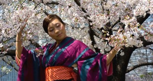 Japan Culture: Basic Dari Kebudayaan Jepang