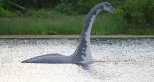 Misteri Monster Loch Ness Di Skotlandia